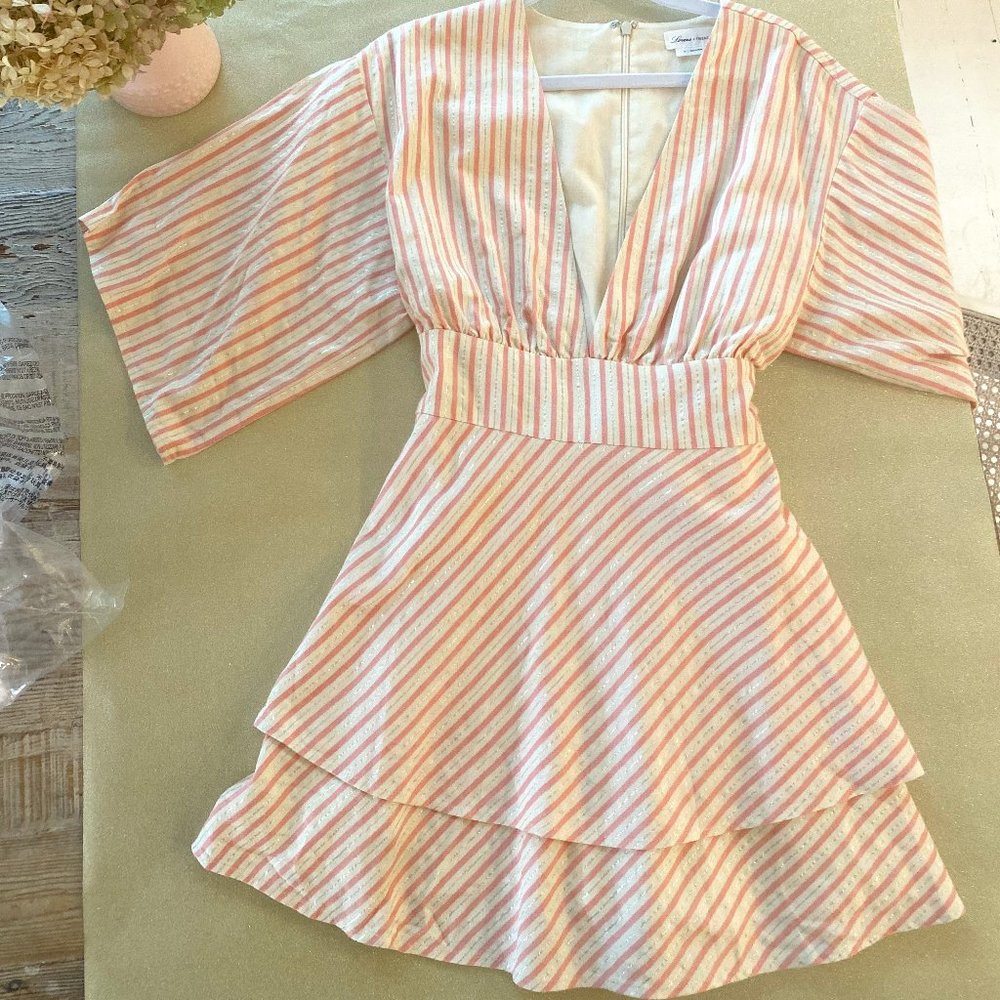 Metallic Striped Lovers and Friends Dress